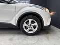 Toyota C-HR 1.2T  Dynamic Alb - thumbnail 10