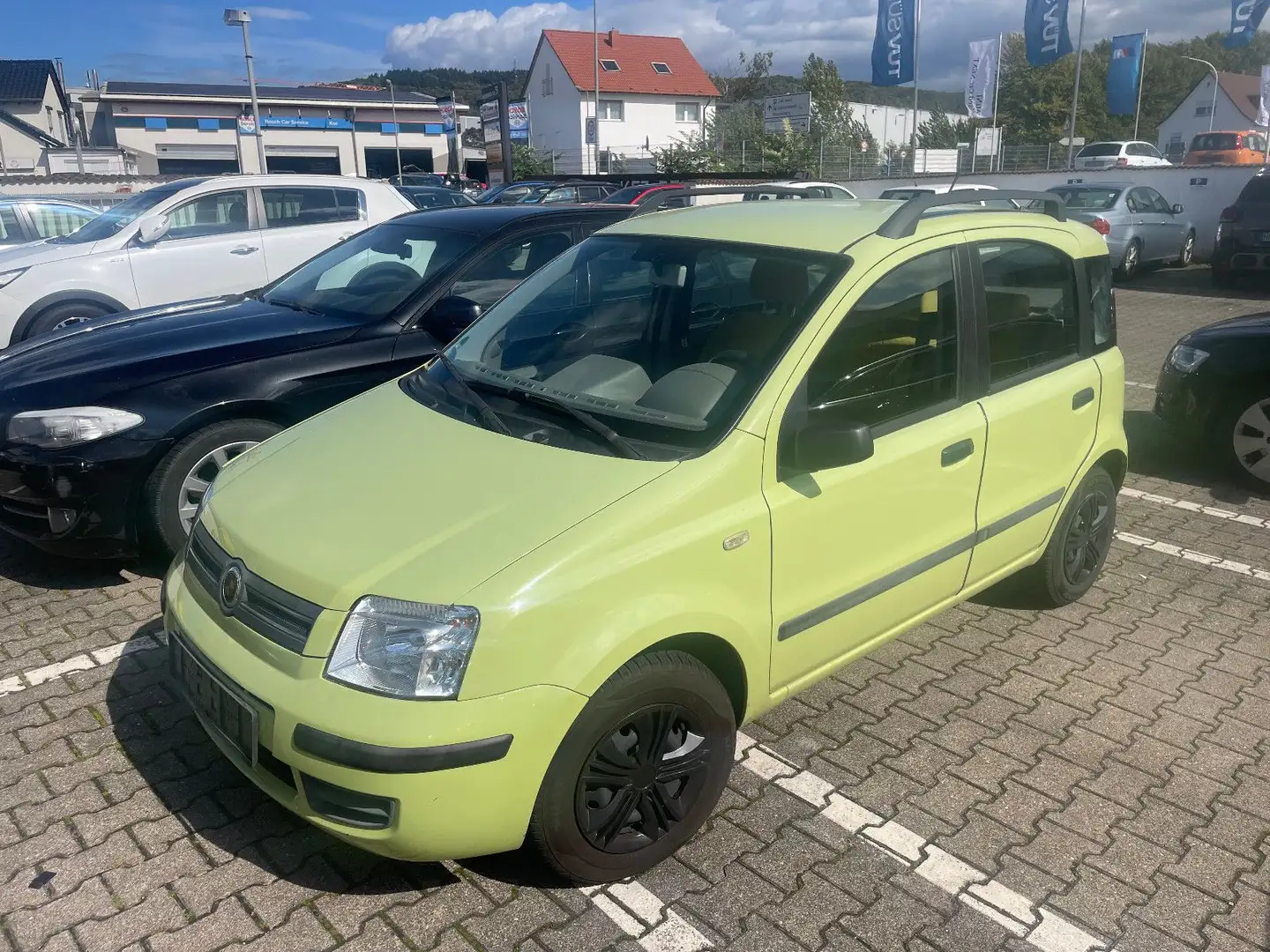 Fiat Panda 1.2 8V Dynamic Grün - 1