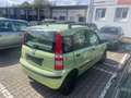Fiat Panda 1.2 8V Dynamic Grün - thumbnail 4