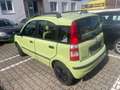 Fiat Panda 1.2 8V Dynamic Grün - thumbnail 3
