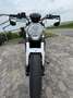 Ducati Monster 797 Blanc - thumbnail 2