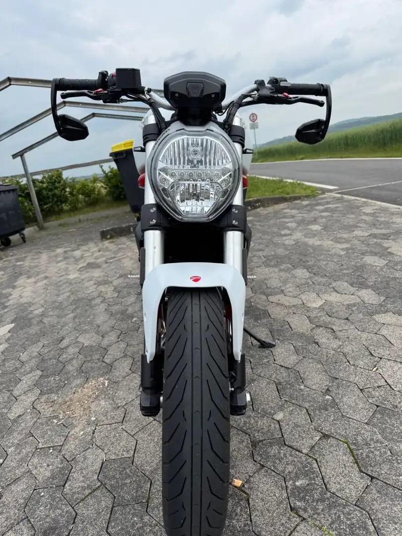 Ducati Monster 797 Blanc - 2