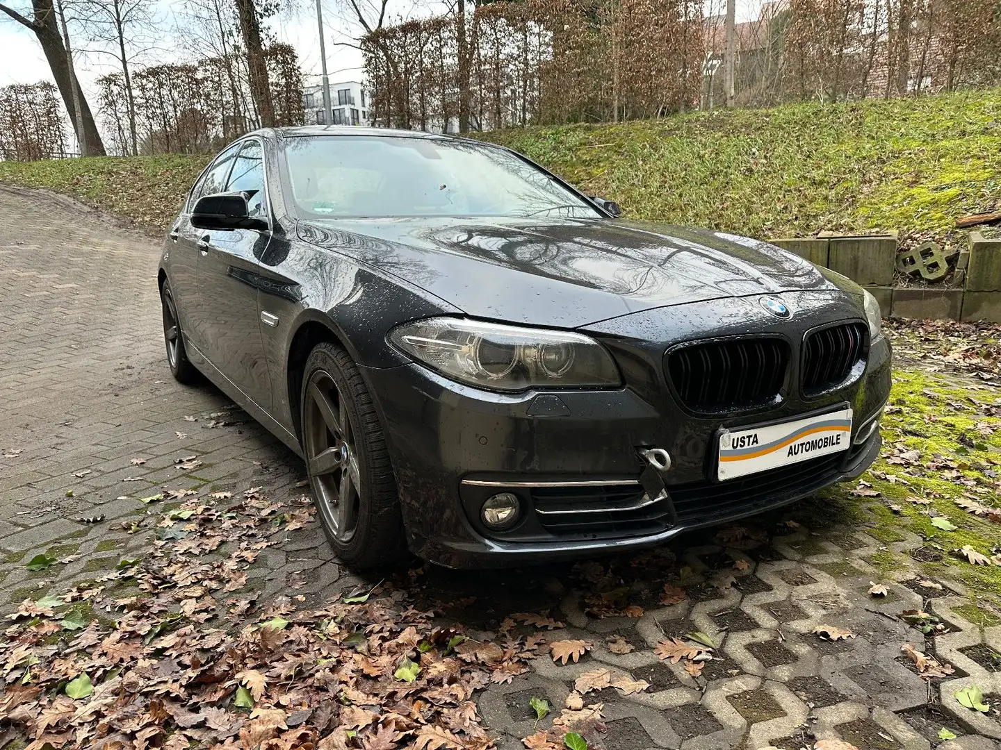BMW 525 d Luxury/Harman/Navi/Kamera/Motorschaden Gris - 1