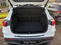 Mercedes-Benz EQA 250 AMG+Navi+SHZ+MBUX+Kamera+Ambiente+DAB+ Weiß - thumbnail 13