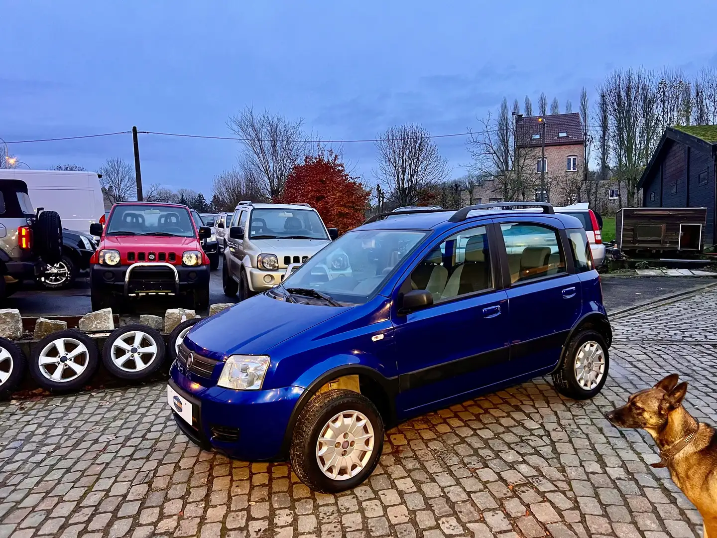 Fiat Panda 1.3 JTD 4X4 Climbing avec 80000 km !!! Niebieski - 2