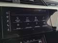 Audi e-tron 55 quattro 360pk S Edition 2X S Line MEMORY LED LE Gris - thumbnail 33