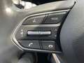Hyundai SANTA FE 2.2 CRDi 5-Sitzer Prime *Kamera*Allrad* Blanc - thumbnail 22