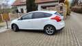 Ford Focus 1.0 EcoBoost Start-Stopp-System Trend Weiß - thumbnail 3