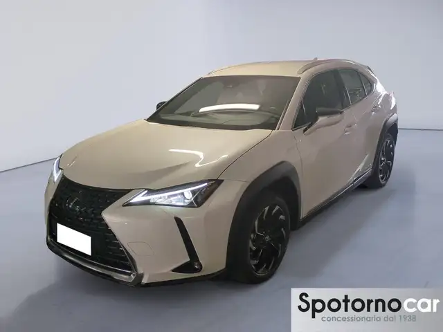 Lexus UX 250h Hybrid Executive 2WD MY22
