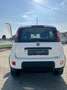 Fiat Panda 0.9 t.air t. natural power City Life 70cv 5pti Blanc - thumbnail 7