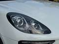 Porsche Macan Macan I 2014 3.0d S 250cv pdk Bianco - thumbnail 15