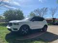 Volvo XC40 T5 AWD R-Design Geartronic Weiß - thumbnail 8