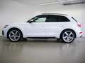 Audi SQ5 TDI tiptr. MATRIX AHK HEAD-UP Stdhzg. Weiß - thumbnail 4