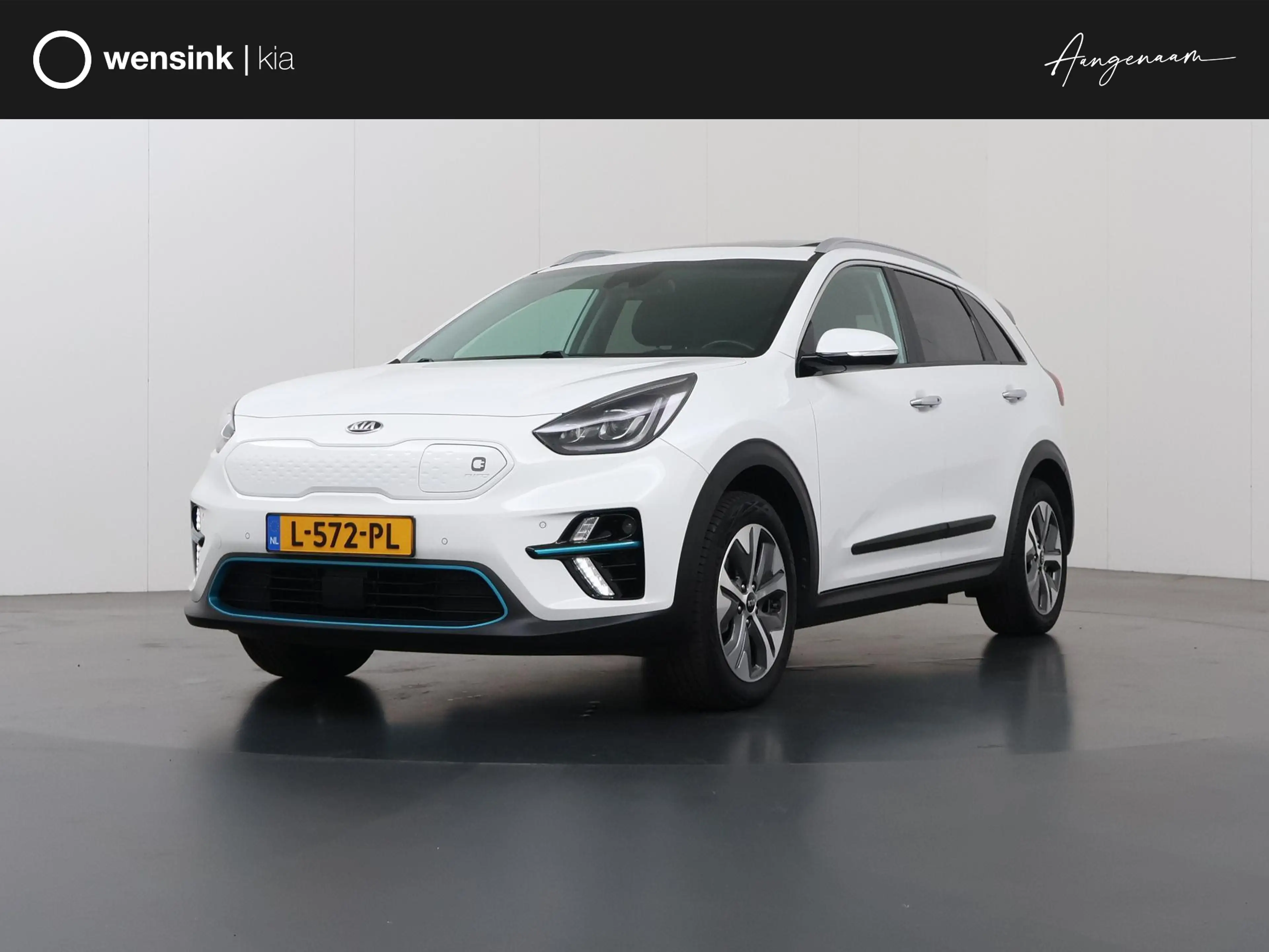 Kia e-Niro ExecutiveLine 64 kWh | Schuif/kantel dak | Stoel/S