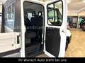 Iveco Daily Pritsche Top Zustand TÜV/HU Neu 7-Sitze Blanc - thumbnail 21