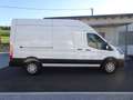 Ford Transit 2,0 TDCI Trend 350 Kastenwagen L3H3 / AHK Weiß - thumbnail 4