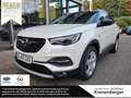 Opel Grandland X Ultimate AHK Navi AGR bijela - thumbnail 1