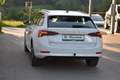 Skoda Octavia Business 2.0 TDI / LED / Anhängerkupplung Wit - thumbnail 5