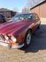 Jaguar XJ6 XJ6 MK1 Rojo - thumbnail 3