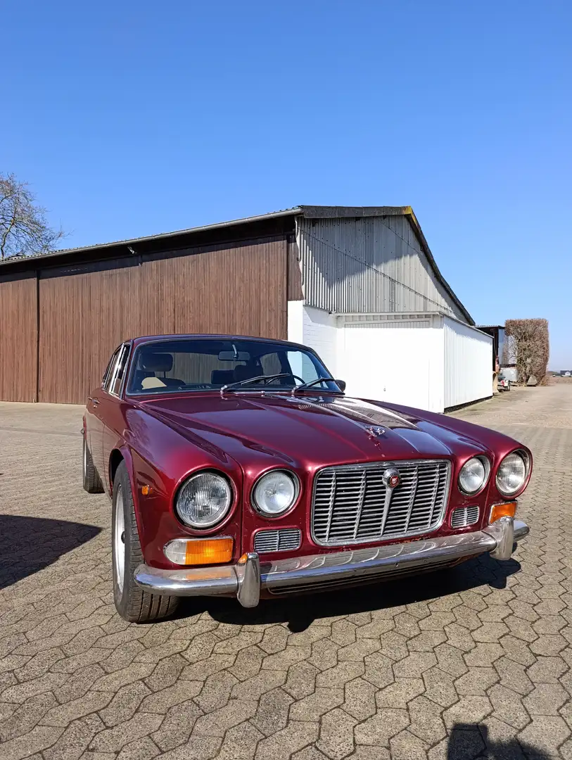 Jaguar XJ6 XJ6 MK1 Rojo - 1
