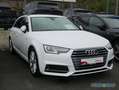 Audi A4 Avant 40 TFSI S tronic S Line Leder,Navi,Xenon Weiß - thumbnail 2