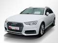 Audi A4 Avant 40 TFSI S tronic S Line Leder,Navi,Xenon Weiß - thumbnail 12