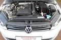 Volkswagen Golf VII 1.2 TSI Lim. Trendline/SITZH/ALU/1.HAND Weiß - thumbnail 19