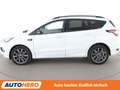 Ford Kuga 2.0 EcoBoost ST-Line Aut.*NAVI*BI-XENON*ACC*SONY* Weiß - thumbnail 3