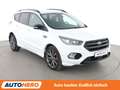 Ford Kuga 2.0 EcoBoost ST-Line Aut.*NAVI*BI-XENON*ACC*SONY* Weiß - thumbnail 8