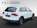 Volkswagen Tiguan eHybrid 245 PS DSG *LIFE*LED ACC RFK Weiß - thumbnail 3