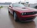 Dodge Challenger 3.6 ANNO 2019-KM. 23.000 -PREZZO+BASSO IN EUROP Rosso - thumbnail 8