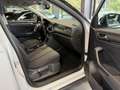 Volkswagen T-Roc T-Roc 1.0 TSI 115 CV Style BlueMotion Technology Blanc - thumbnail 18