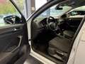 Volkswagen T-Roc T-Roc 1.0 TSI 115 CV Style BlueMotion Technology Blanc - thumbnail 13