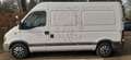 Renault Master Camper Bianco - thumbnail 1