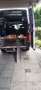 Renault Master Camper Bianco - thumbnail 5
