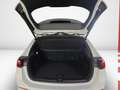Mercedes-Benz B 220 4M AMG NIGHT PANO AHK DISTRONIC MULTIBEAM Weiß - thumbnail 9