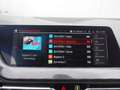 BMW 118 i Advantage*HarmanKardon*adaptivLED*KIZU*Lenkhzg* Grau - thumbnail 12