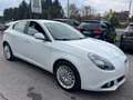 Alfa Romeo Giulietta 2014 1.6 jtdm Exclusive E5+ Weiß - thumbnail 3