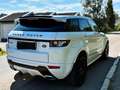 Land Rover Range Rover Evoque Range Rover Evoque TD4 Aut. Dynamic Weiß - thumbnail 8