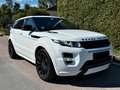 Land Rover Range Rover Evoque Range Rover Evoque TD4 Aut. Dynamic Weiß - thumbnail 1