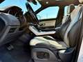 Land Rover Range Rover Evoque Range Rover Evoque TD4 Aut. Dynamic Weiß - thumbnail 13