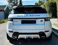 Land Rover Range Rover Evoque Range Rover Evoque TD4 Aut. Dynamic Weiß - thumbnail 2