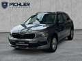 Skoda Kamiq Selection TSI Grau - thumbnail 1