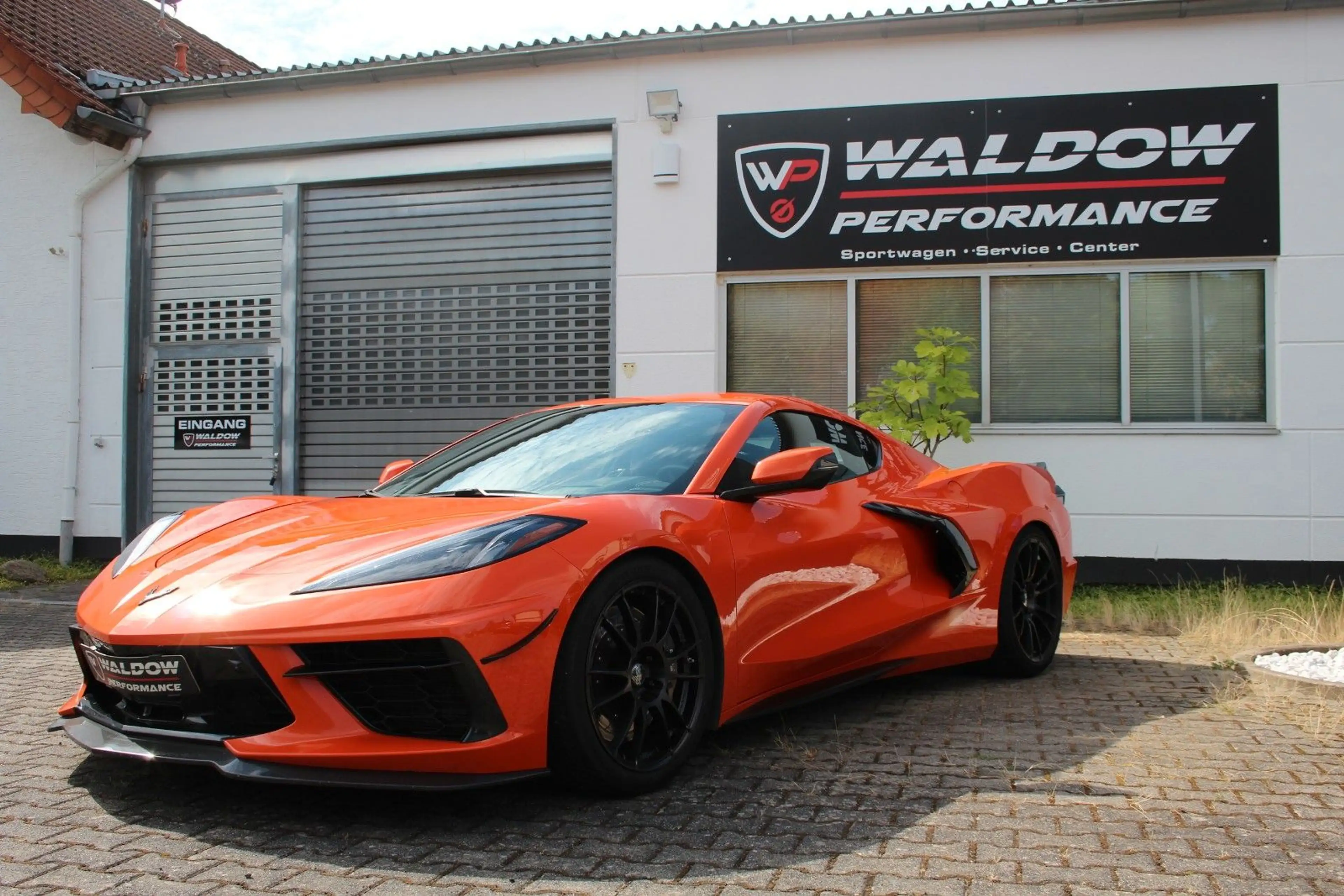 Corvette C8 Geiger Einzelstück