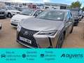 Lexus UX 250h Business 2WD - thumbnail 1