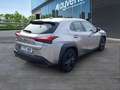 Lexus UX 250h Business 2WD Gris - thumbnail 4