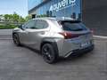 Lexus UX 250h Business 2WD Gris - thumbnail 6