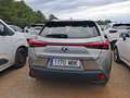 Lexus UX 250h Business 2WD - thumbnail 5