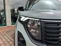 Ford Tourneo Courier 1.0 EcoBoost Powershift Active, Fulloptionals Grigio - thumbnail 3