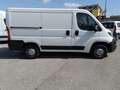 Peugeot Boxer 335 L1H1 2.0 BLUEHDI 130CV BlueHDi PC-TN L1 H1 Bianco - thumbnail 4